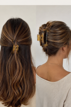 Pinza de pelo marrón.